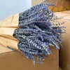 Hoa Lavender Oải Hương Khô 100g Bó Nhập Khẩu Hương Thơm Giá Chỉ 39.200 VNĐ