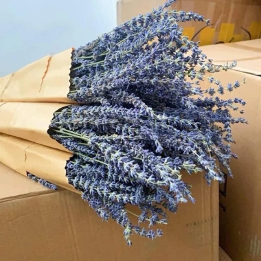 Hoa Lavender Oải Hương Khô 100g Bó Nhập Khẩu Hương Thơm Giá Chỉ 39.200 VNĐ