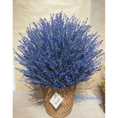 Hoa Lavender Oải Hương Khô 100g Bó Nhập Khẩu Hương Thơm Giá Chỉ 39.200 VNĐ