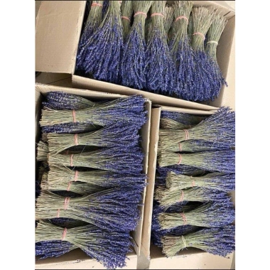 Hoa Lavender Oải Hương Khô 100g Bó Nhập Khẩu Hương Thơm Giá Chỉ 39.200 VNĐ