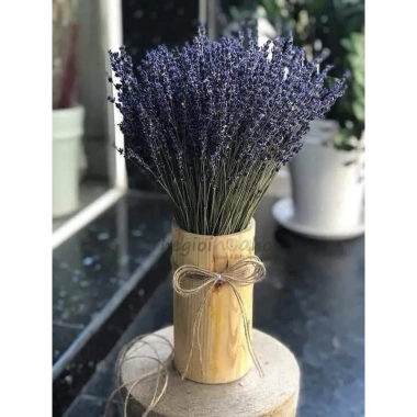 Hoa Lavender Oải Hương Khô 100g Bó Nhập Khẩu Hương Thơm Giá Chỉ 39.200 VNĐ