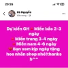 Hoa Len Tốt Nghiệp Giá Rẻ - Giảm 206K Còn 169K - Bó Hoa Len Quà Tốt Nghiệp Hà Nội 2