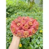 Hồng treo gió Đà Lạt 500g giá rẻ chỉ 230k - Món ăn vặt ngon không thể bỏ qua 5