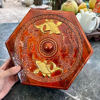 Hộp Đựng Mứt Tết Nhựa Giả Gỗ - Khay Bánh Kẹo Cá Chép Vàng, giảm giá 55k 2