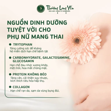 Hũ Lẻ Yến Chưng Sẵn Vị Hạt Sen, 6g Yến Sào Khánh Hoà Yến Nguyên Chất Cao Cấp Thượng Long Yến 6 Hũ Lẻ Yến Chưng Sẵn Vị Hạt Sen, 6g Yến Sào Khánh Hoà Yến Nguyên Chất Cao Cấp Thượng Long Yến 6