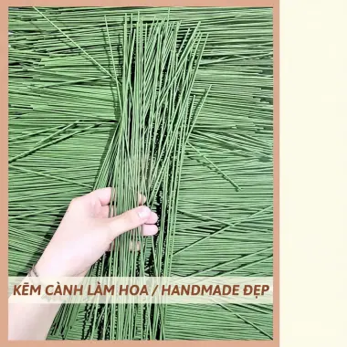 Kẽm Cành Trơn Gai Bọc Nhựa 30-40cm Làm Hoa Handmade Giá Sỉ Lẻ Cạnh Tranh 5 Kẽm Cành Trơn Gai Bọc Nhựa 30-40cm Làm Hoa Handmade Giá Sỉ Lẻ Cạnh Tranh 5