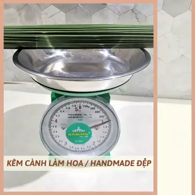 Kẽm Cành Trơn Gai Bọc Nhựa 30-40cm Làm Hoa Handmade Giá Sỉ Lẻ Cạnh Tranh 6 Kẽm Cành Trơn Gai Bọc Nhựa 30-40cm Làm Hoa Handmade Giá Sỉ Lẻ Cạnh Tranh 6