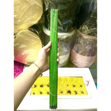 Kẽm Cành Trơn Gai Bọc Nhựa 30-40cm Làm Hoa Handmade Giá Sỉ Lẻ Cạnh Tranh 14 Kẽm Cành Trơn Gai Bọc Nhựa 30-40cm Làm Hoa Handmade Giá Sỉ Lẻ Cạnh Tranh 14