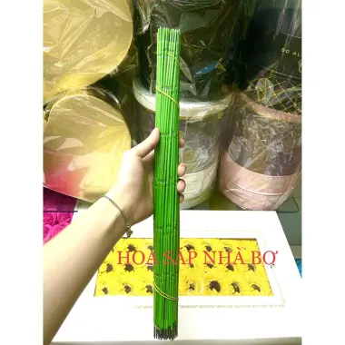 Kẽm Cành Trơn Gai Bọc Nhựa 30-40cm Làm Hoa Handmade Giá Sỉ Lẻ Cạnh Tranh 17 Kẽm Cành Trơn Gai Bọc Nhựa 30-40cm Làm Hoa Handmade Giá Sỉ Lẻ Cạnh Tranh 17
