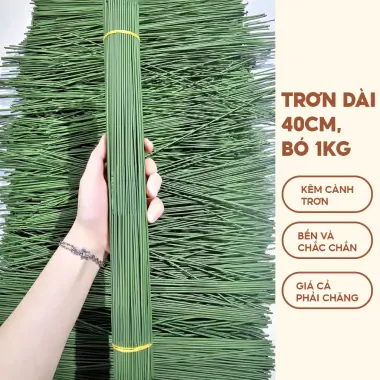 Kẽm Cành Trơn Gai Bọc Nhựa 30-40cm Làm Hoa Handmade Giá Sỉ Lẻ Cạnh Tranh 21 Kẽm Cành Trơn Gai Bọc Nhựa 30-40cm Làm Hoa Handmade Giá Sỉ Lẻ Cạnh Tranh 21