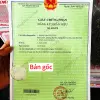 Kẹo Cu Đơ Đặc Sản Hà Tĩnh - Cu Đơ Ông Bà Thư Viện Loại Vừa 1 Hộp 5 Cái Giá Tốt 94k 3