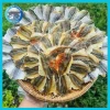 Khô Cá Chỉ Vàng Bông Mai Loại 1 Giá Rẻ - Đặc Sản Cá Chỉ Vàng Khô Tám Hoàng Hỏa Tốc 66k 10