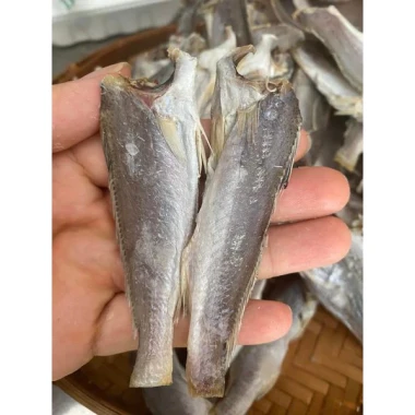 Khô Cá Đù Cà Mau Chiên Giòn Ngọt Dịu - Tú Sương Giá 49K 2 Khô Cá Đù Cà Mau Chiên Giòn Ngọt Dịu - Tú Sương Giá 49K 2