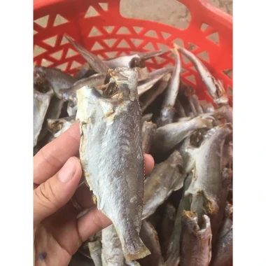 Khô Cá Đù Cà Mau Chiên Giòn Ngọt Dịu - Tú Sương Giá 49K 4 Khô Cá Đù Cà Mau Chiên Giòn Ngọt Dịu - Tú Sương Giá 49K 4