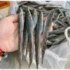 Khô Cá Kèo Cà Mau Size Lớn 150-160Con/Kg - Đặc Sản Giá Tốt 202k Giảm Từ 258k 4
