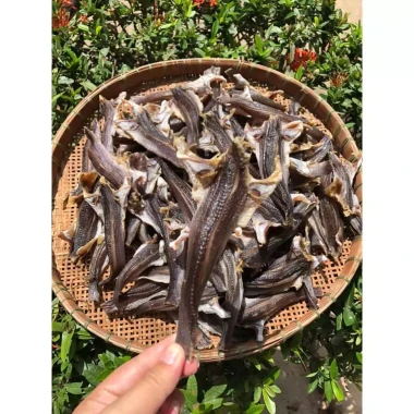 Khô Cá Lóc Cửng 2 Nắng Cà Mau Giá Rẻ - Món Ăn Đặc Sản Của THỊ HÀ FOOD Chỉ 65790đ 2 Khô Cá Lóc Cửng 2 Nắng Cà Mau Giá Rẻ - Món Ăn Đặc Sản Của THỊ HÀ FOOD Chỉ 65790đ 2