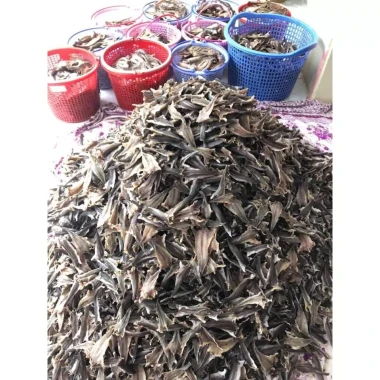 Khô Cá Lóc Cửng 2 Nắng Cà Mau Giá Rẻ - Món Ăn Đặc Sản Của THỊ HÀ FOOD Chỉ 65790đ 6 Khô Cá Lóc Cửng 2 Nắng Cà Mau Giá Rẻ - Món Ăn Đặc Sản Của THỊ HÀ FOOD Chỉ 65790đ 6
