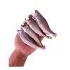 Khô cá lù đù Bến Tre giá rẻ 65k - Món ăn đậm vị mặn vừa ăn ngon chuẩn vị 2