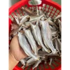 Khô cá lù đù Bến Tre giá rẻ 65k - Món ăn đậm vị mặn vừa ăn ngon chuẩn vị 5