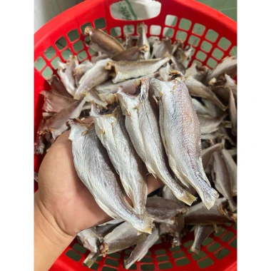 Khô cá lù đù Bến Tre giá rẻ 65k - Món ăn đậm vị mặn vừa ăn ngon chuẩn vị 5 Khô cá lù đù Bến Tre giá rẻ 65k - Món ăn đậm vị mặn vừa ăn ngon chuẩn vị 5