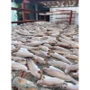 Khô cá lù đù Bến Tre giá rẻ 65k - Món ăn đậm vị mặn vừa ăn ngon chuẩn vị 6