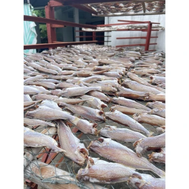 Khô cá lù đù Bến Tre giá rẻ 65k - Món ăn đậm vị mặn vừa ăn ngon chuẩn vị 6 Khô cá lù đù Bến Tre giá rẻ 65k - Món ăn đậm vị mặn vừa ăn ngon chuẩn vị 6