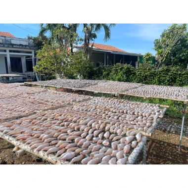 Khô cá lù đù Bến Tre giá rẻ 65k - Món ăn đậm vị mặn vừa ăn ngon chuẩn vị 9 Khô cá lù đù Bến Tre giá rẻ 65k - Món ăn đậm vị mặn vừa ăn ngon chuẩn vị 9