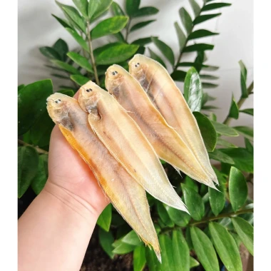 Khô cá lưỡi trâu vị mặn Cà Mau 250g - đặc sản dai ngọt giá chỉ 45k giảm từ 57.6k 3