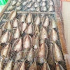 Khô cá nhồng tẩm tiêu đường - Thịt dày thơm cay vừa, tươi ngon, chỉ 159k 6