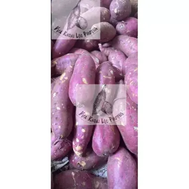 Khoai Lang Nhật Đà Lạt Tươi Ngon 1kg - Giảm Giá Chỉ 40.000đ, Giao Hàng Toàn Quốc Nhanh 4 Khoai Lang Nhật Đà Lạt Tươi Ngon 1kg - Giảm Giá Chỉ 40.000đ, Giao Hàng Toàn Quốc Nhanh 4