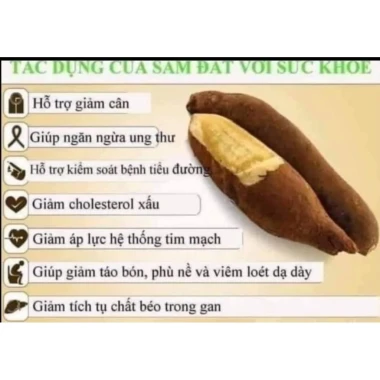 Khoai Sâm Đất Tây Bắc Củ To Giòn Ngọt - 2kg Chỉ 34k Giảm Từ 42.5k 3 Khoai Sâm Đất Tây Bắc Củ To Giòn Ngọt - 2kg Chỉ 34k Giảm Từ 42.5k 3
