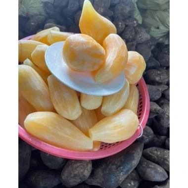 Khoai Sâm Đất Tây Bắc Củ To Giòn Ngọt - 2kg Chỉ 34k Giảm Từ 42.5k 10 Khoai Sâm Đất Tây Bắc Củ To Giòn Ngọt - 2kg Chỉ 34k Giảm Từ 42.5k 10