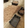Khoai tây hồng Đà Lạt size trung bùi bở - Giảm còn 50k từ 64k 3