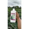 Kích Củ Stop Cassava Thái Lan - Phòng Ngừa Sâu Độc, Hiệu Quả Cao, Giảm Giá 450.000