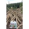 Kích Củ Stop Cassava Thái Lan - Phòng Ngừa Sâu Độc, Hiệu Quả Cao, Giảm Giá 450.000 2