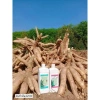 Kích Củ Stop Cassava Thái Lan - Phòng Ngừa Sâu Độc, Hiệu Quả Cao, Giảm Giá 450.000 4