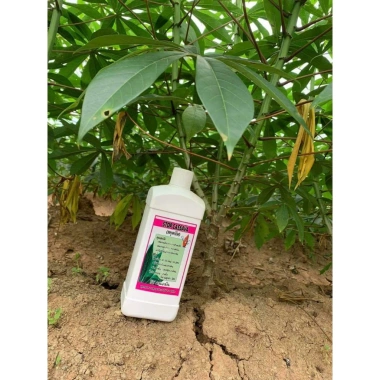 Kích Củ Stop Cassava Thái Lan - Phòng Ngừa Sâu Độc, Hiệu Quả Cao, Giảm Giá 450.000 6