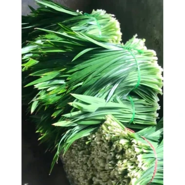 Lá Thơm cho cơm nếp ngâm cùng đòng đòng - Giá ưu đãi 40.000, chỉ 52.000 3
