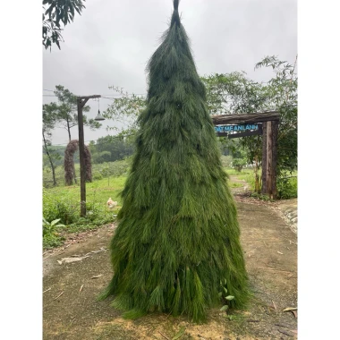 Lá Thông Tươi Trang Trí Noel 10kg - Tươi Xanh 15 Ngày - Giảm Giá 168000đ 3