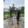 Lá Thông Tươi Trang Trí Noel 10kg - Tươi Xanh 15 Ngày - Giảm Giá 168000đ 5