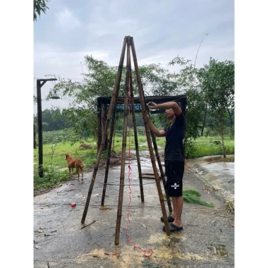 Lá Thông Tươi Trang Trí Noel 10kg - Tươi Xanh 15 Ngày - Giảm Giá 168000đ 5