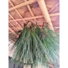 Lá Thông Tươi Trang Trí Noel 10kg - Tươi Xanh 15 Ngày - Giảm Giá 168000đ 8