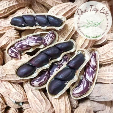 Lạc Đen Mường Khương Tây Bắc - Đậu Phộng Đen Đặc Sản Giá Rẻ 105k 2