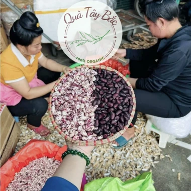 Lạc Đen Mường Khương Tây Bắc - Đậu Phộng Đen Đặc Sản Giá Rẻ 105k 3