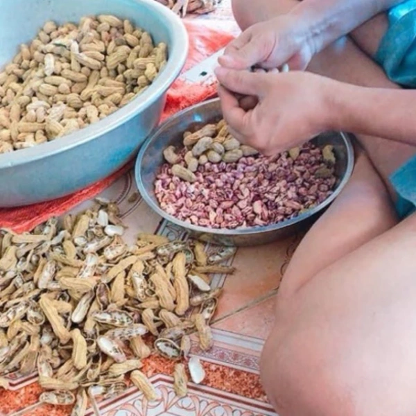 Hình ảnh sản phẩm Lạc hoa mèo Mường Khương 1kg – Lạc nhân, đậu phộng vằn Pa Dí Tây Bắc, 95.000đ