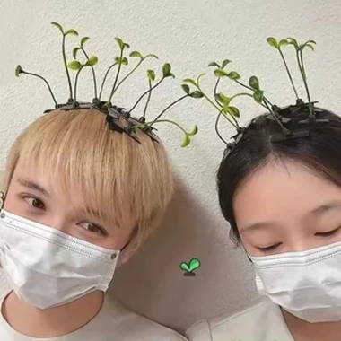[LifeDesigner] Kẹp tóc cỏ mini vui nhộn - Mô hình mầm đậu cho nón cosplay tiệc 3