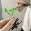 [LifeDesigner] Kẹp tóc cỏ mini vui nhộn - Mô hình mầm đậu cho nón cosplay tiệc 6