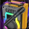 Loa karaoke Mini ZQS 14.102 Gỗ âm thanh HFI, kèm mic dây, Bluetooth, giảm còn 99k 5