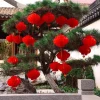 Lồng Đèn Tổ Ong Đỏ Treo Trang Trí Tết 2025 Giá Rẻ Chỉ 28500đ - Mua 50-100 Cái 6