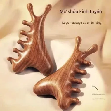 Lược Massage Gỗ Đàn Hương 6 Móng Giảm Stress, Mỏi Cổ Vai Gáy, Giá Cực Sốc Chỉ 29.601₫ 14 Lược Massage Gỗ Đàn Hương 6 Móng Giảm Stress, Mỏi Cổ Vai Gáy, Giá Cực Sốc Chỉ 29.601₫ 14